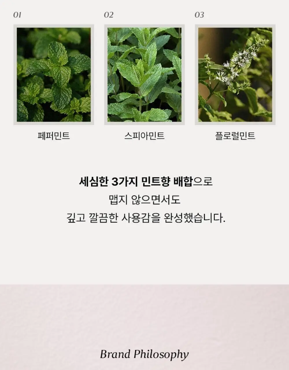 [불소 포함] 티타드 프레시 브레스 플러스 치약 100g (+20g 증정) 상세페이지 20
